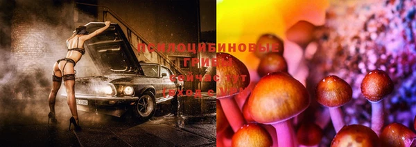 винт Алексин